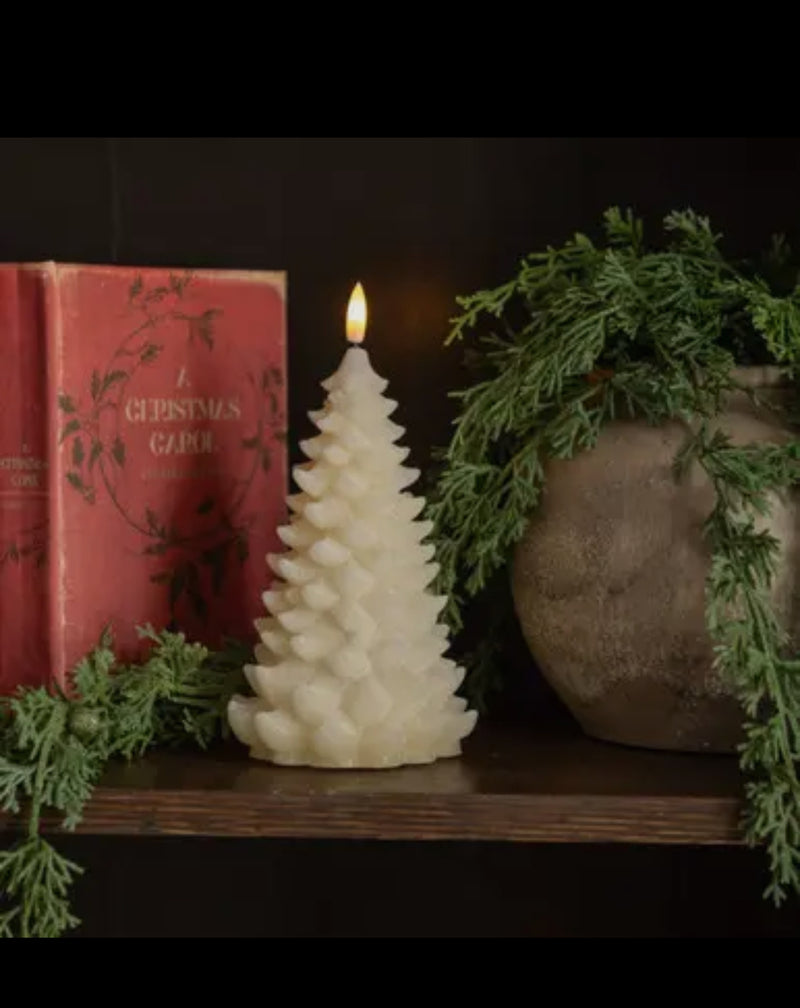 Ragon House Holiday Decor