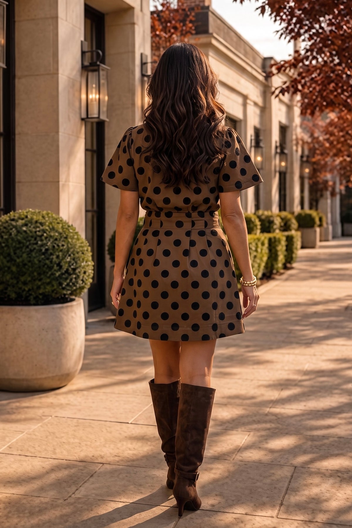 Stella Polka Dot Dress : Brown