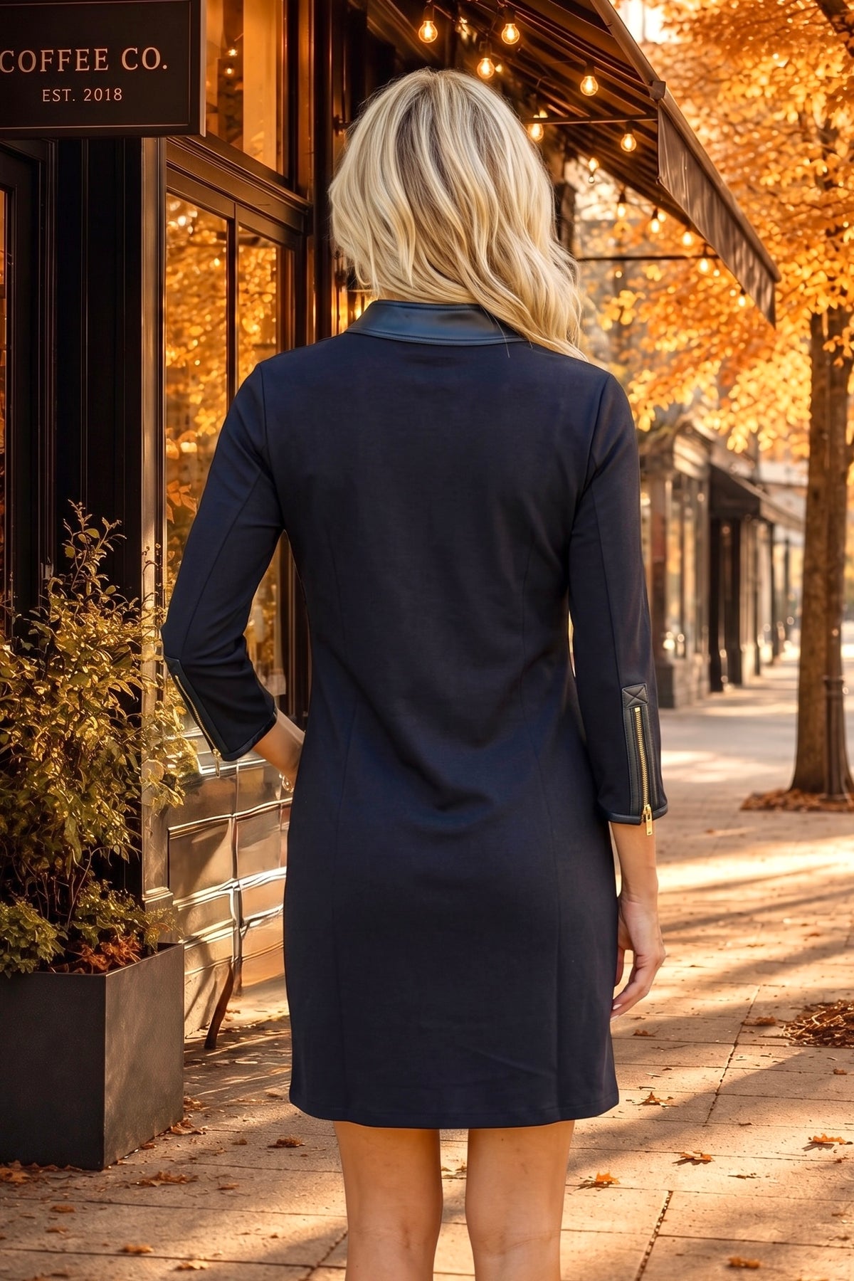 Spartina Anastacia Half Zip Dress : Black