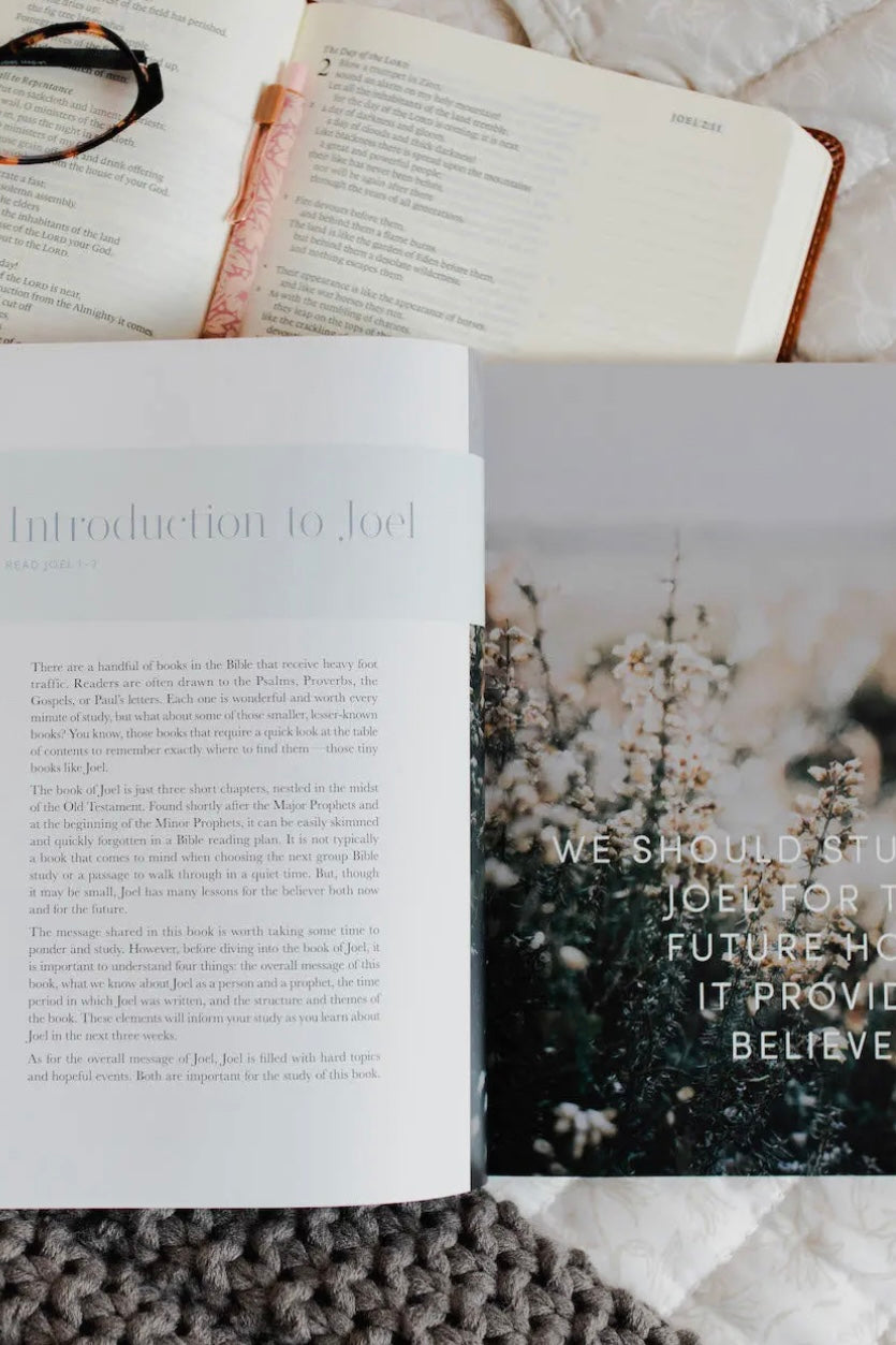 The Daily Grace Co - Studies