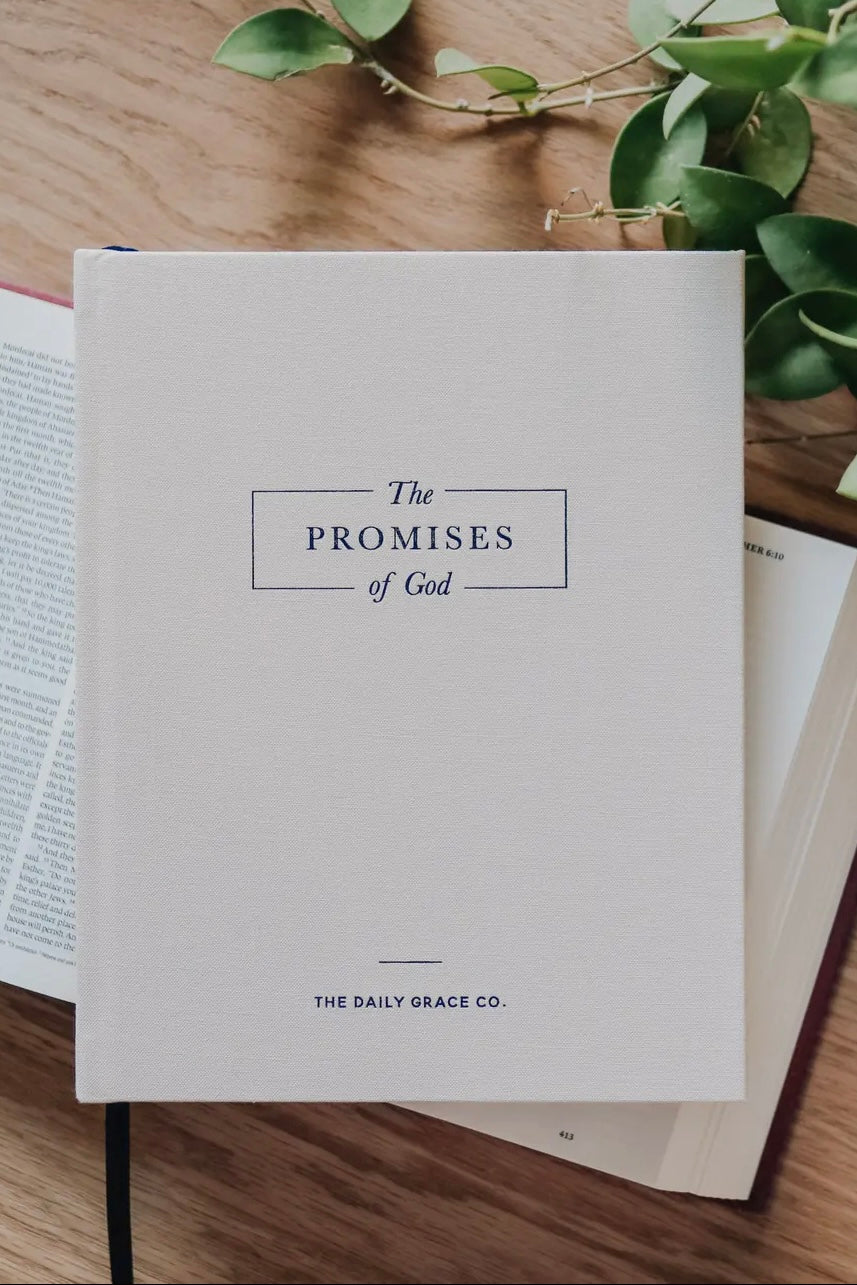 The Daily Grace Co - Journals & Books