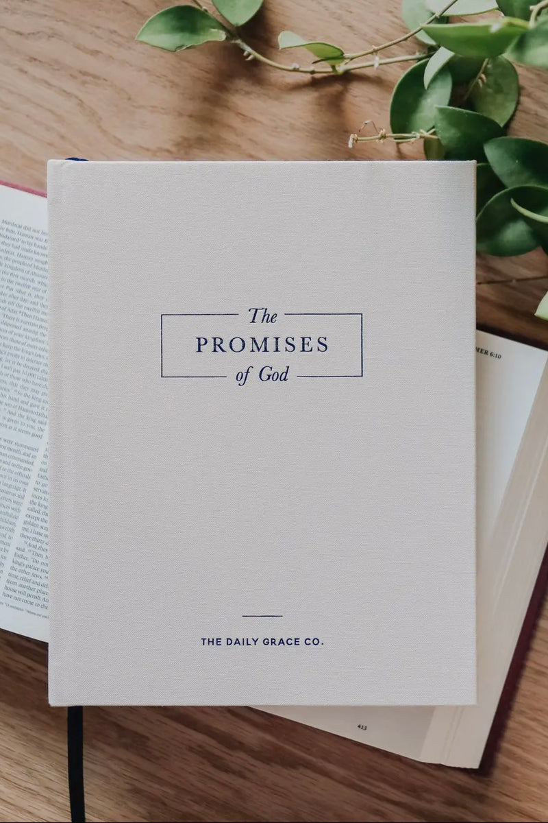The Daily Grace Co - Journals & Books