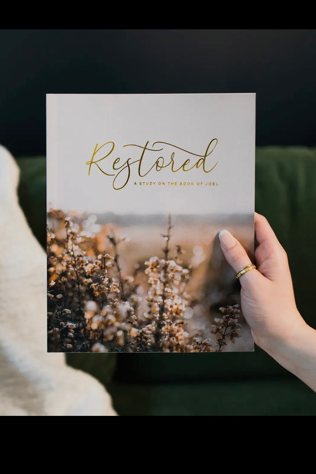 The Daily Grace Co - Studies