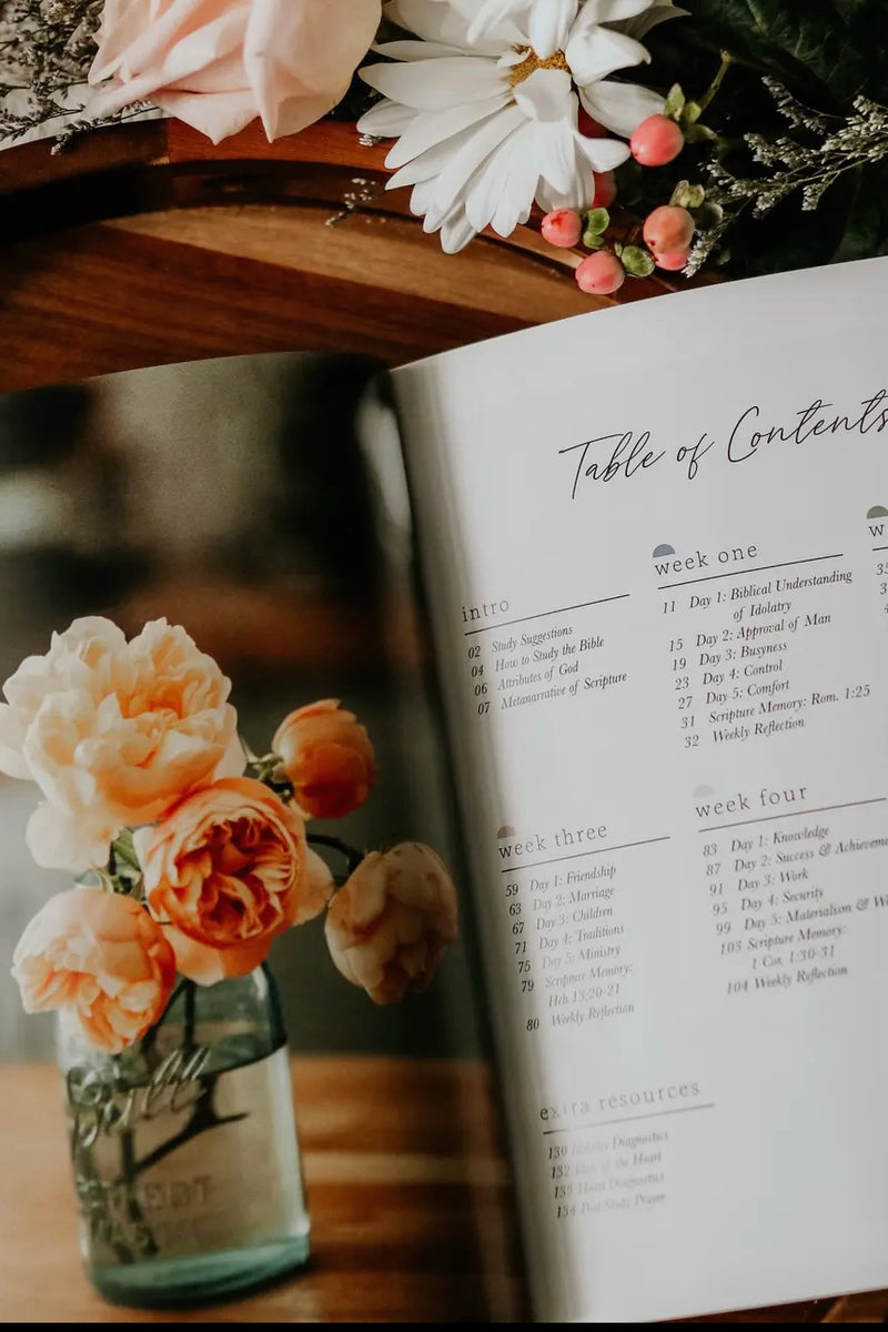 The Daily Grace Co - Studies