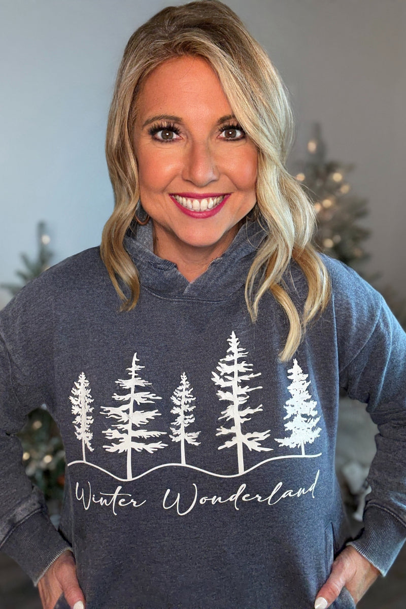 Winter Wonderland Hoodie : Navy