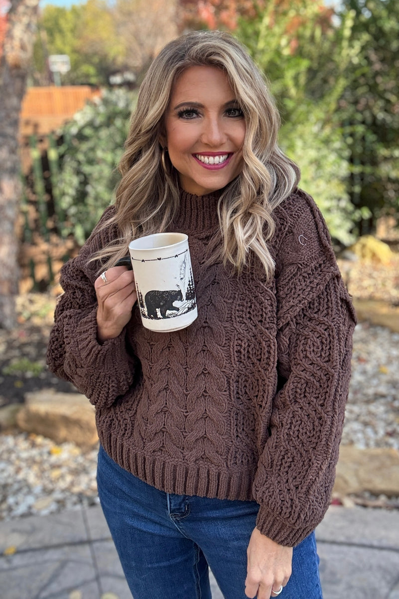 Zelia Soft Cable Knit Sweater : Brown