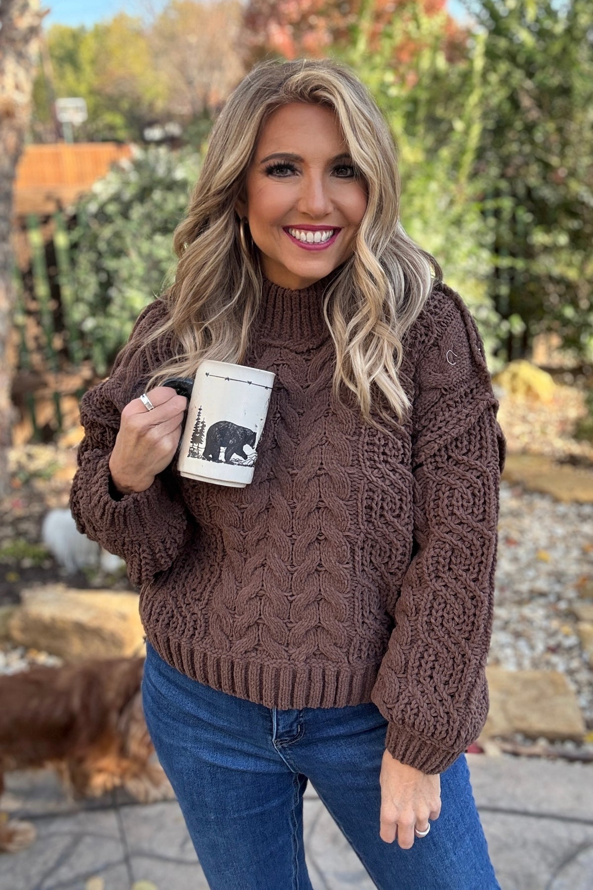 Zelia Soft Cable Knit Sweater : Brown