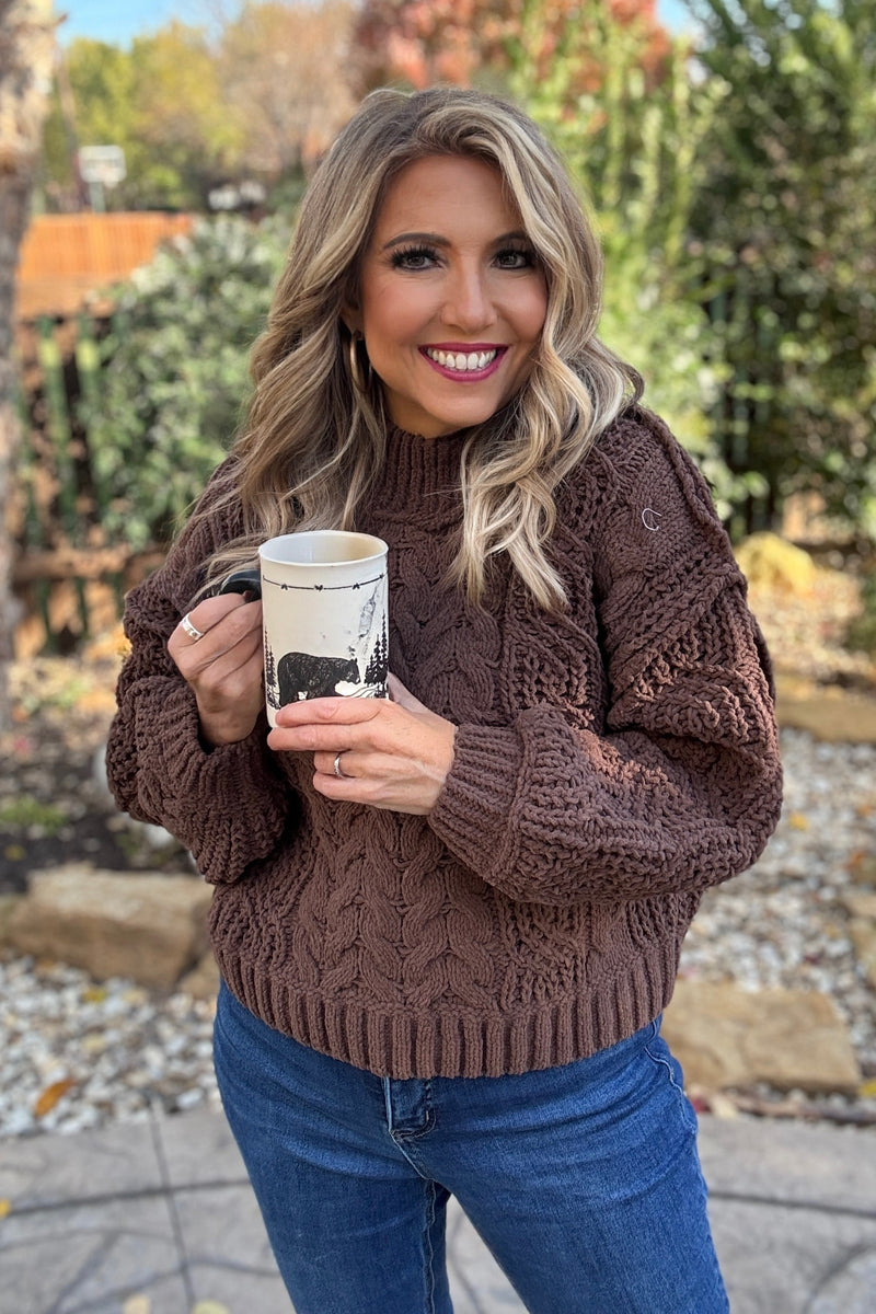 Zelia Soft Cable Knit Sweater : Brown