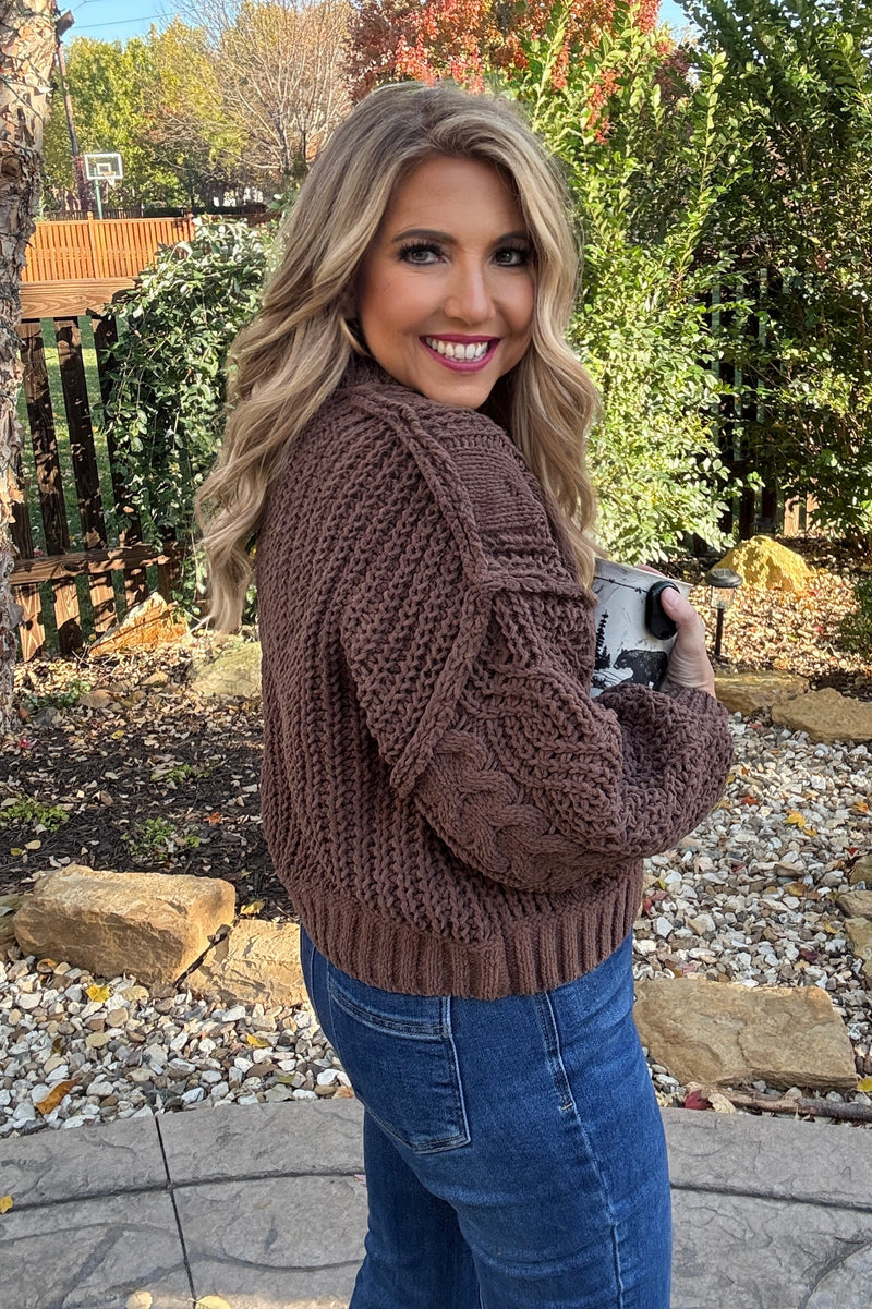 Zelia Soft Cable Knit Sweater : Brown