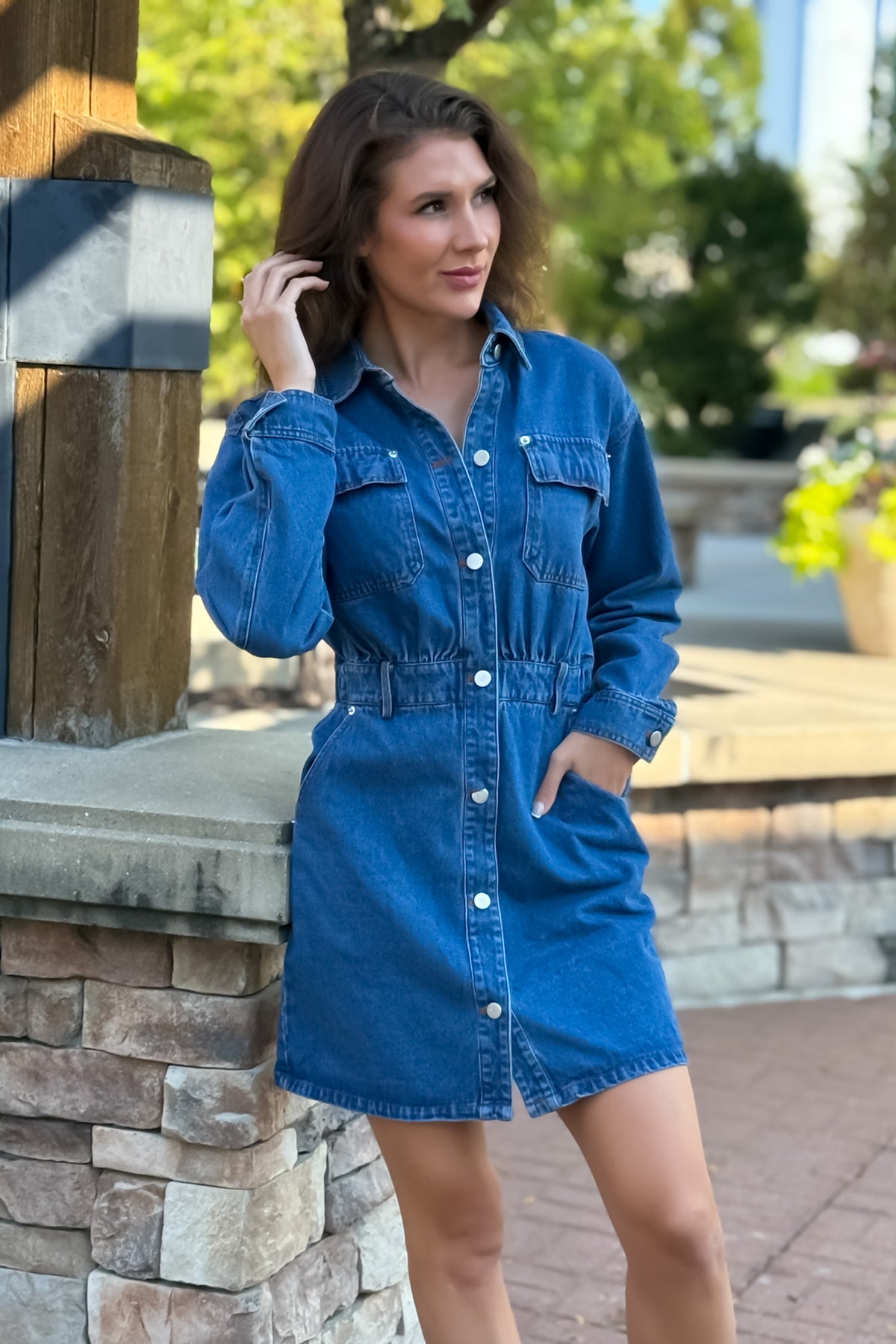 Saphira Denim Dress w/ Rivet Detail : Denim