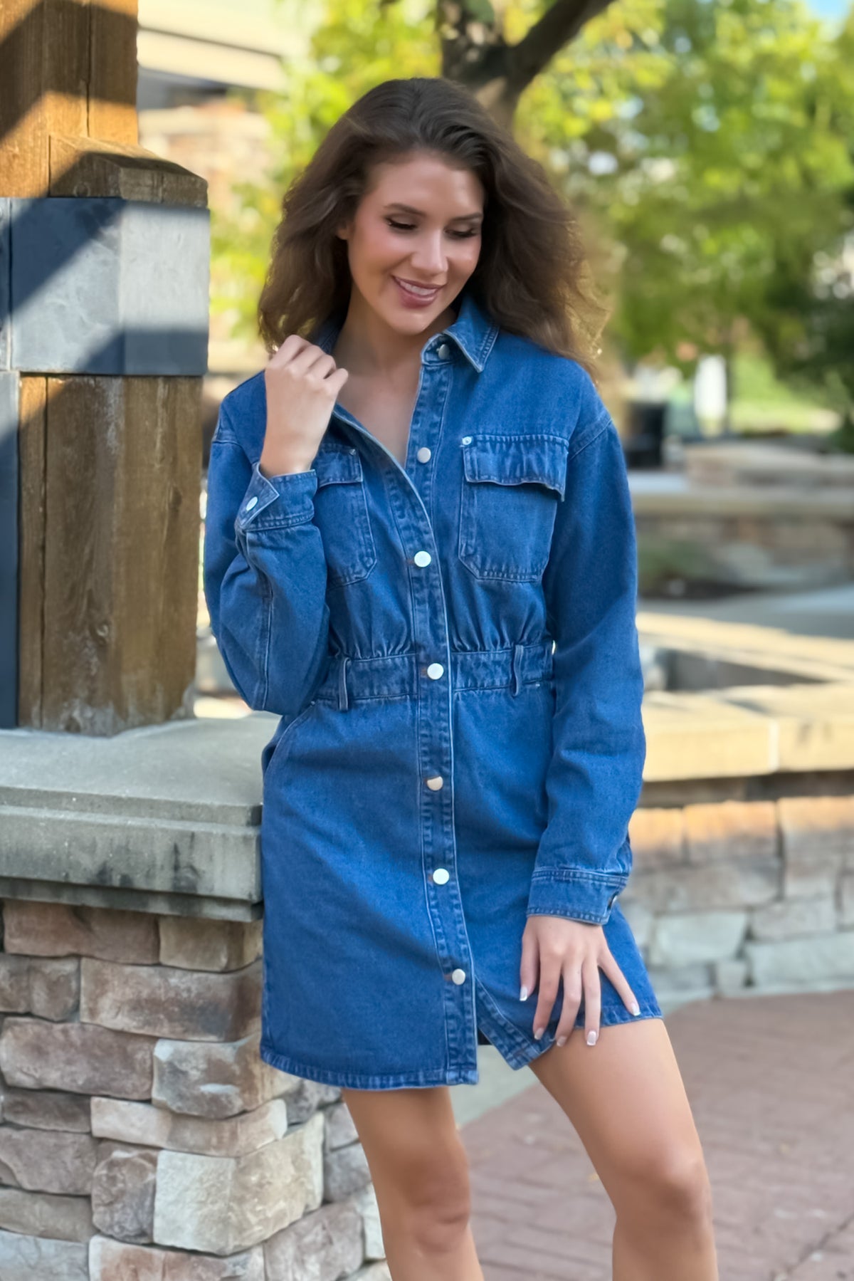 Saphira Denim Dress w/ Rivet Detail : Denim