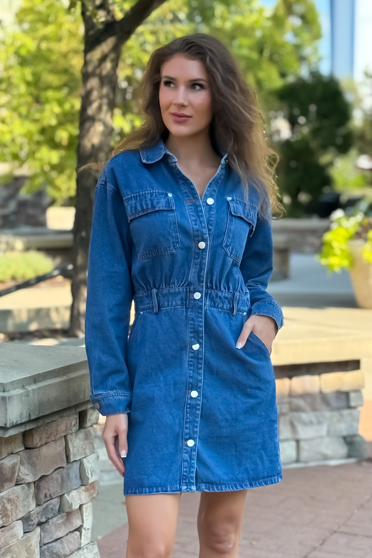 Saphira Denim Dress w/ Rivet Detail : Denim