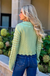 Longmont Scalloped Edge Sweater : Soft Lime