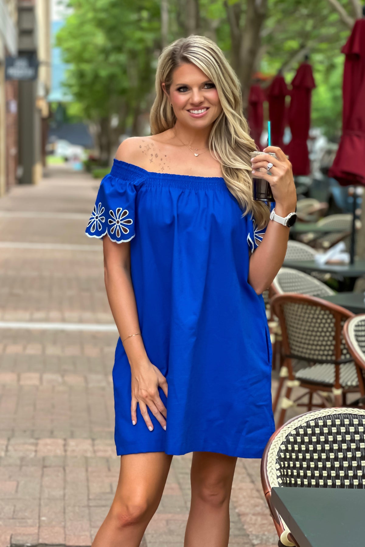 Romona Embroidered Mini Dress : Blue