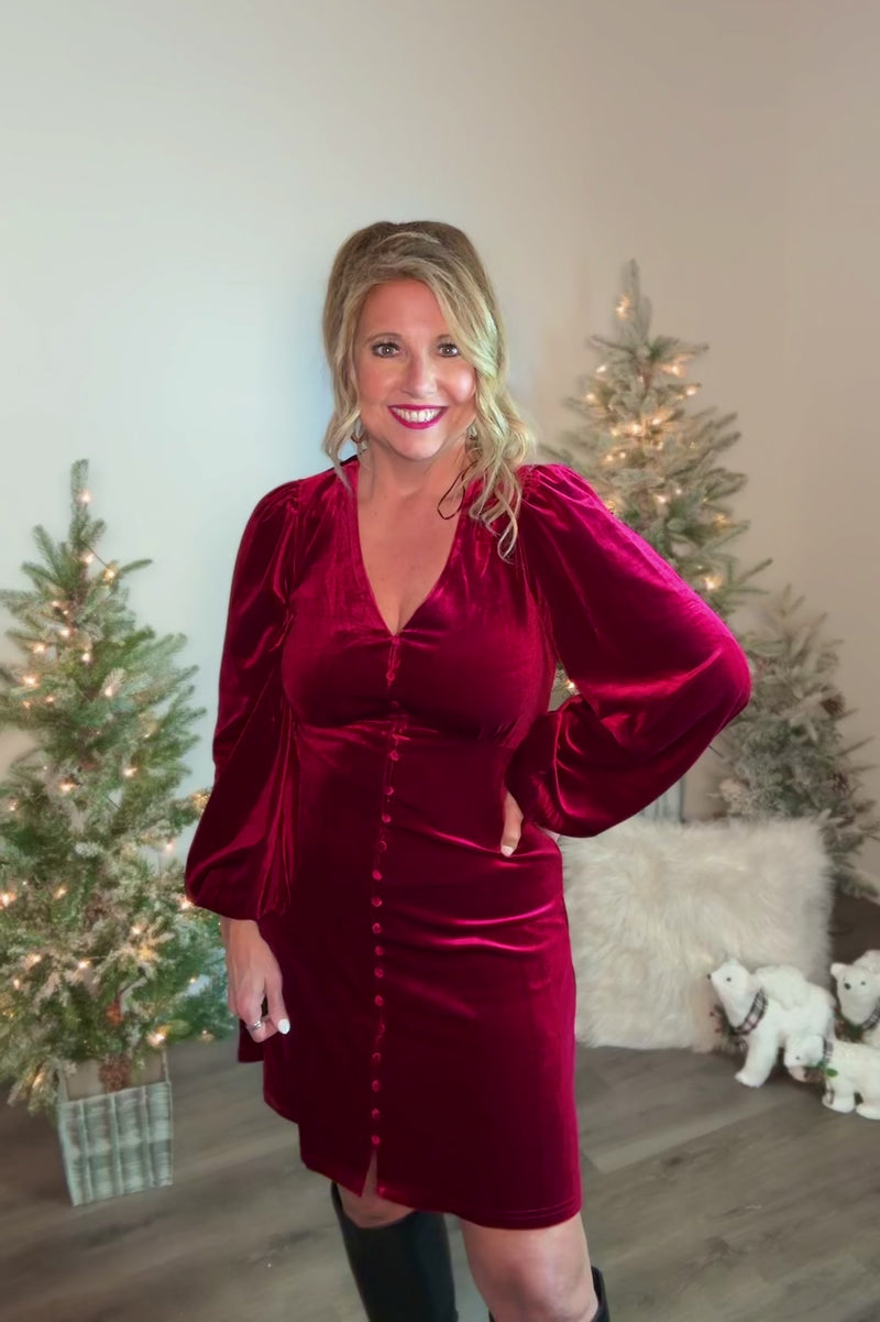 Galilee Silhouette Luxe Velvet V-Neck Dress : Burgundy