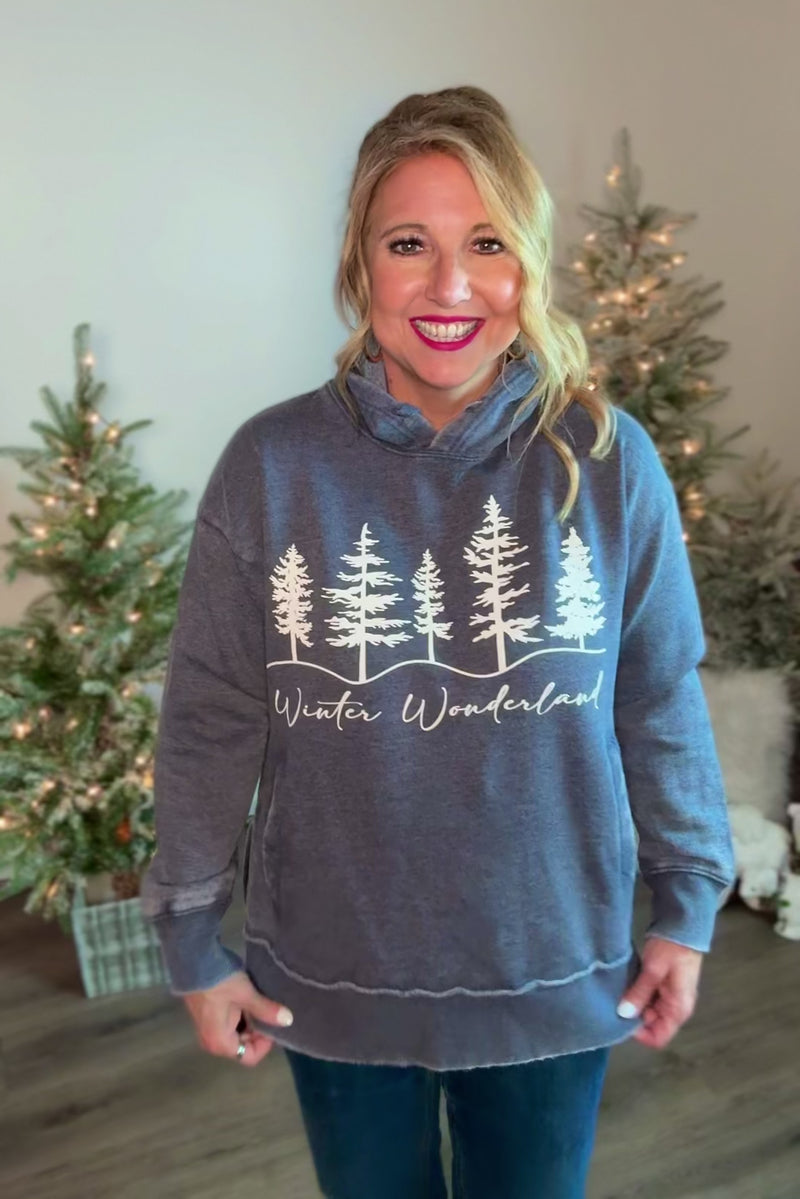 Winter Wonderland Hoodie : Navy
